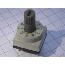 PT65301 Code Switch Straight 3+3 BCD spindle  PT65301