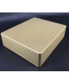 1590XX Style Aluminum Diecast Enclosure METALLIC LIGHT GOLD
