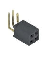 2x2 Pin 2.54mm Double Row Female Pin Header