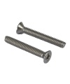 Flat Head Screw with Length 25mm