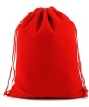 Red Velvet Bag 30cmx40cm