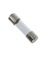 Fuse Glass Fast Acting 2A 250V 5x20mm