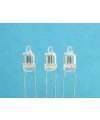 Neon Lamp SG004