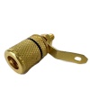 Black Gold Plated Low Profile Binding Post