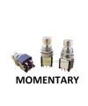 DPDT Compact Stomp Foot / Pedal Switch Momentary PCB