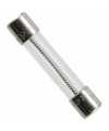 Fuse Glass Time Delay 12A 5x20