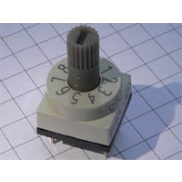 PT65301 Code Switch Straight 3+3 BCD spindle  PT65301