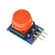 12x12mm large button module with Red caps