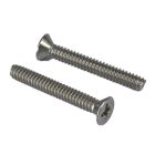 Flat Head Screw with Length 25mm
