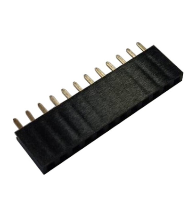 12 Pin 2.54mm Single Row Female Pin Header
