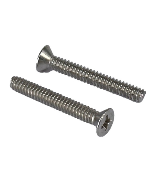 Flat Head Screw with Length 25mm
