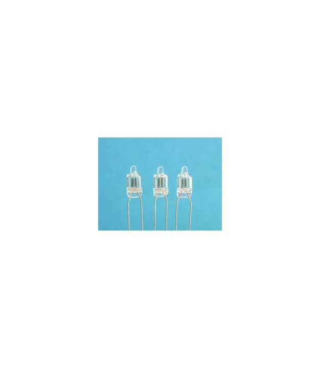 Neon Lamp SG004