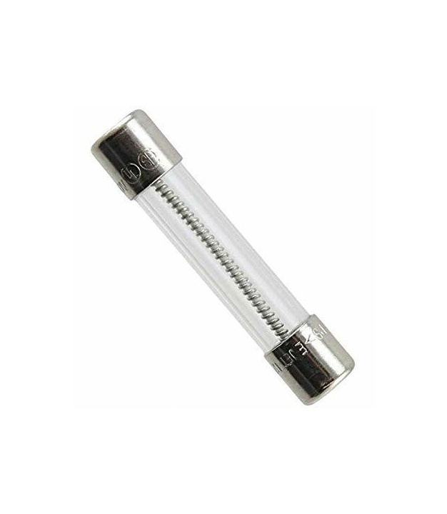 Fuse Glass Time Delay 12A 5x20